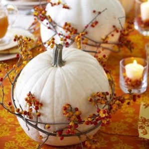 white pumpkins wrapped in Bittersweet berry vines