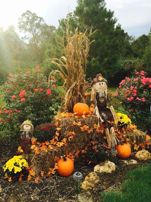 Fall Yard Display with hay bales, scarecrows, pumpkins and a bunch of corn stalks