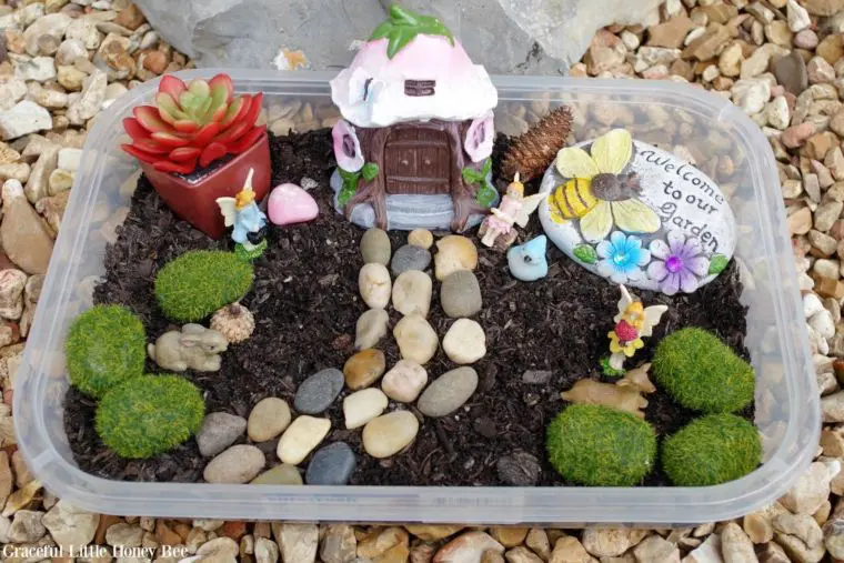 Fairy Garden