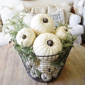  Basket O' Pumpkins