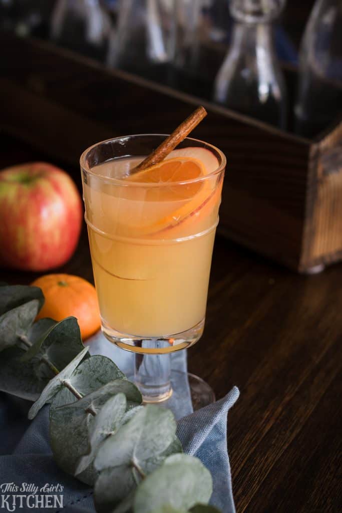 Honeycrisp Apple Cider Rum Punch from ThisSillyGirlsKitchen.com 8