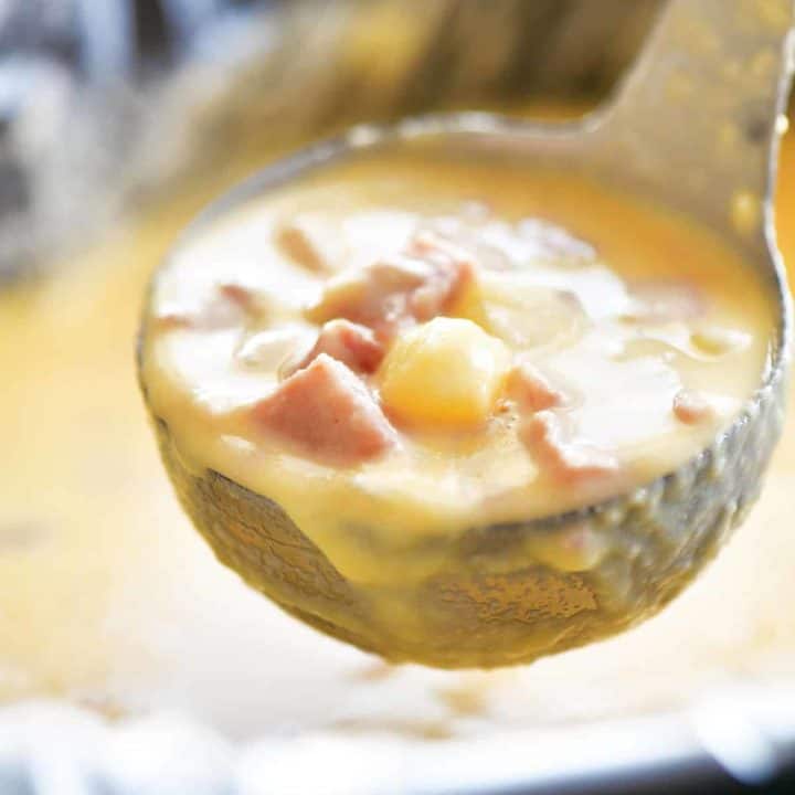 Slow Cooker Ham and Cheese Soup Recipe