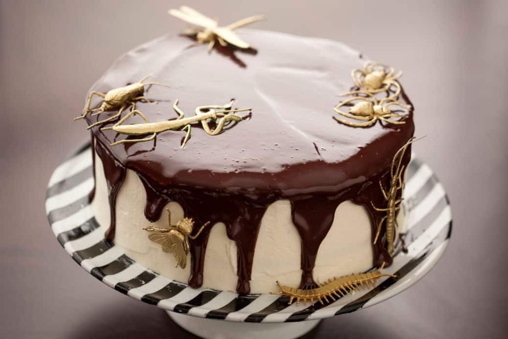 Tuxedo Bug Cake