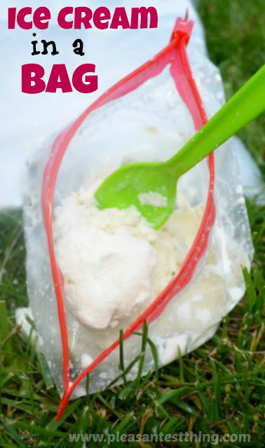 ice+cream+in+a+bag++pin+0