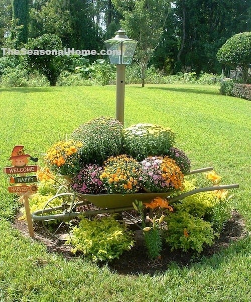 Autumn Wheelbarrow filled with mums Fall Yard decor 