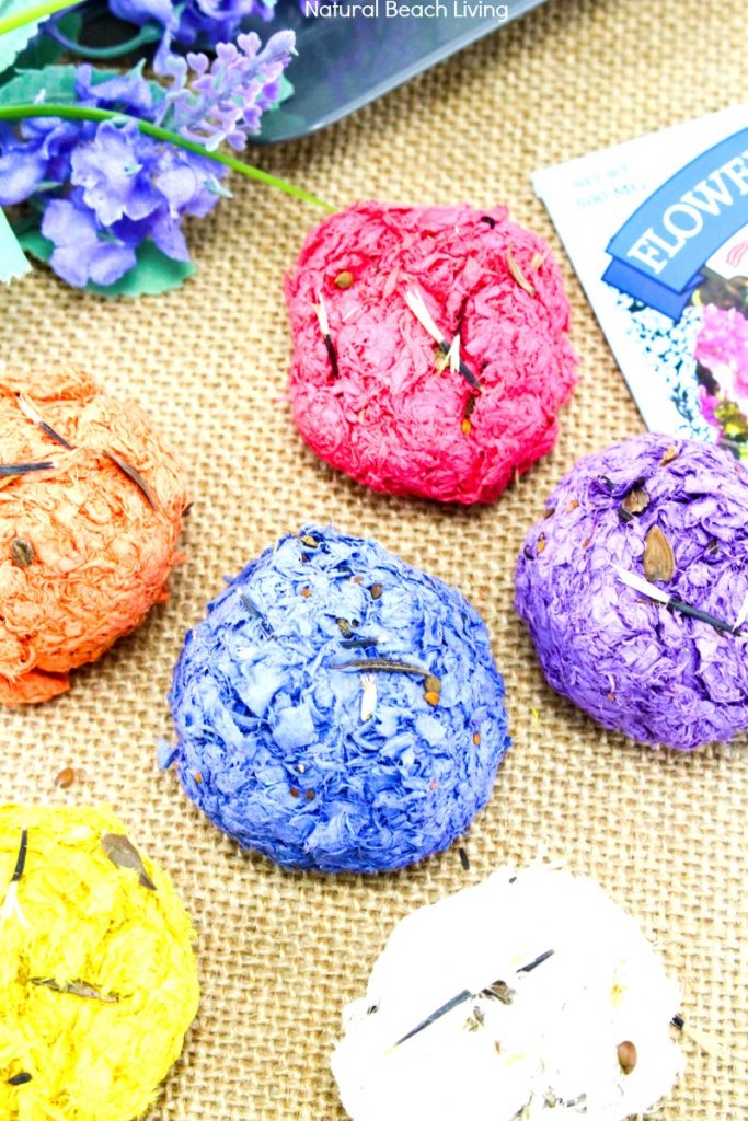 seed bombs pin2