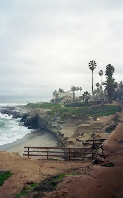 La Jolla Cove: Sea lions, snorkeling, and cliffs