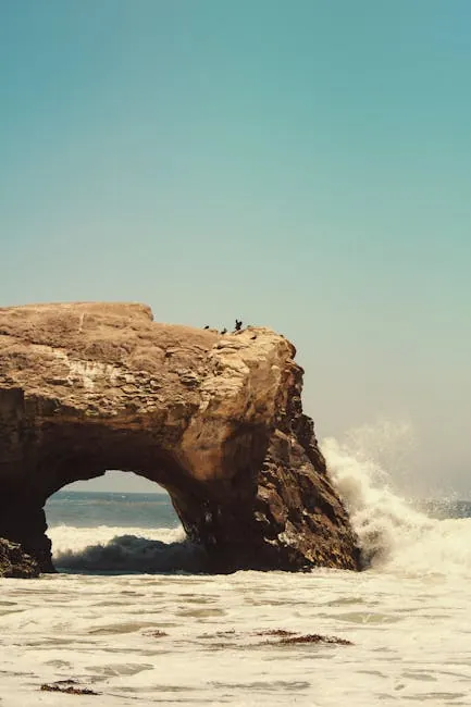 Natural Bridges State Beach Santa Cruz: Monarchs and arches