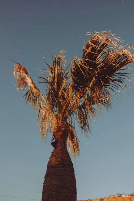 Caliente Tropics Resort: Retro Mid-Century Motel Escape