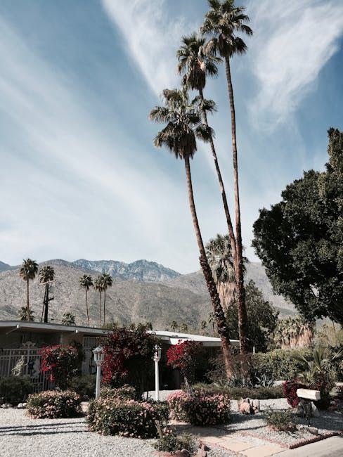 Palm Mountain Resort & Spa: Classic Palm Springs Retreat