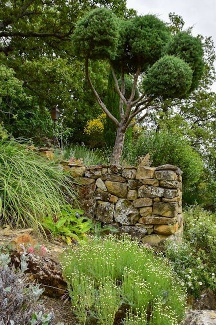 Simiane-la-Rotonde: Quiet Lavender Plateaus And Paths