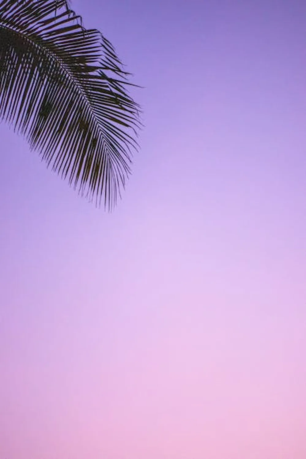 Why One&Only Palmilla feels endlessly elegant
