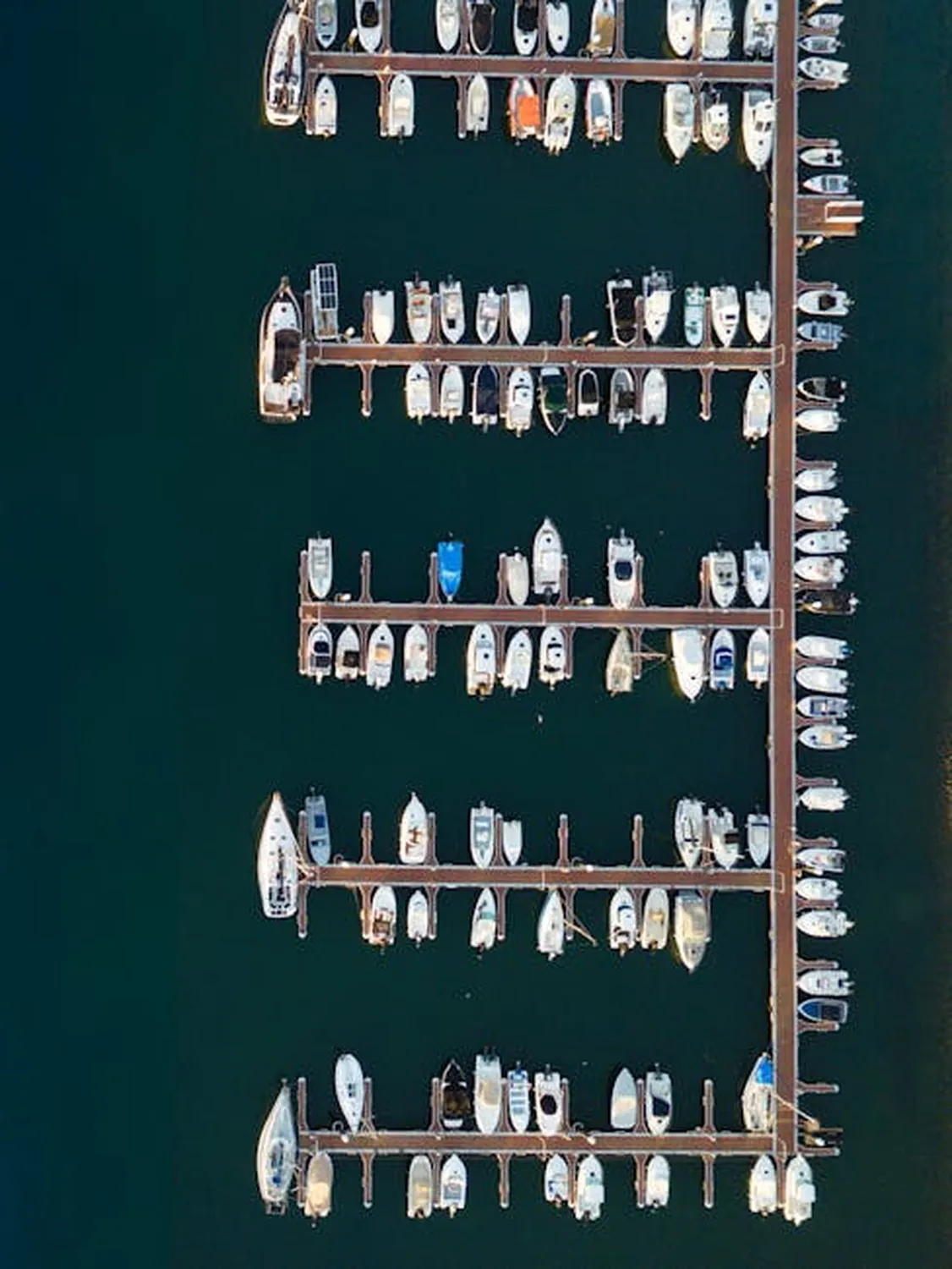 Cheeca Lodge & Spa in Islamorada, Atlantic views