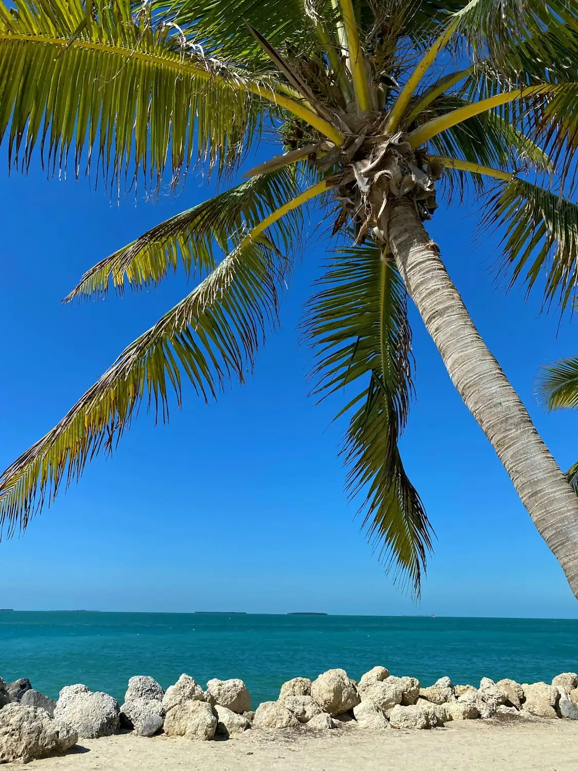 The Reach Key West, a beachfront hideaway