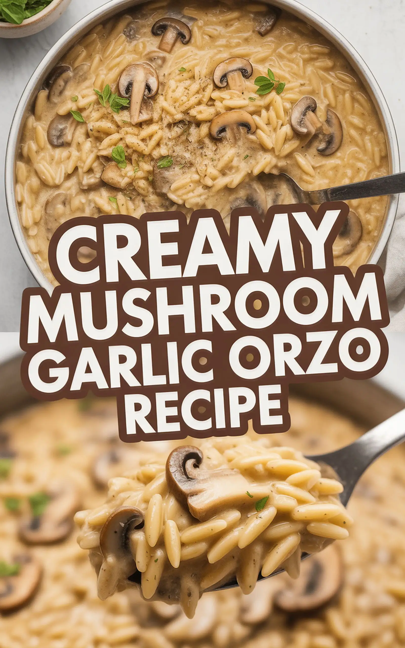 Creamy Mushroom Garlic Orzo Recipe - easy recipe with step by step instructions