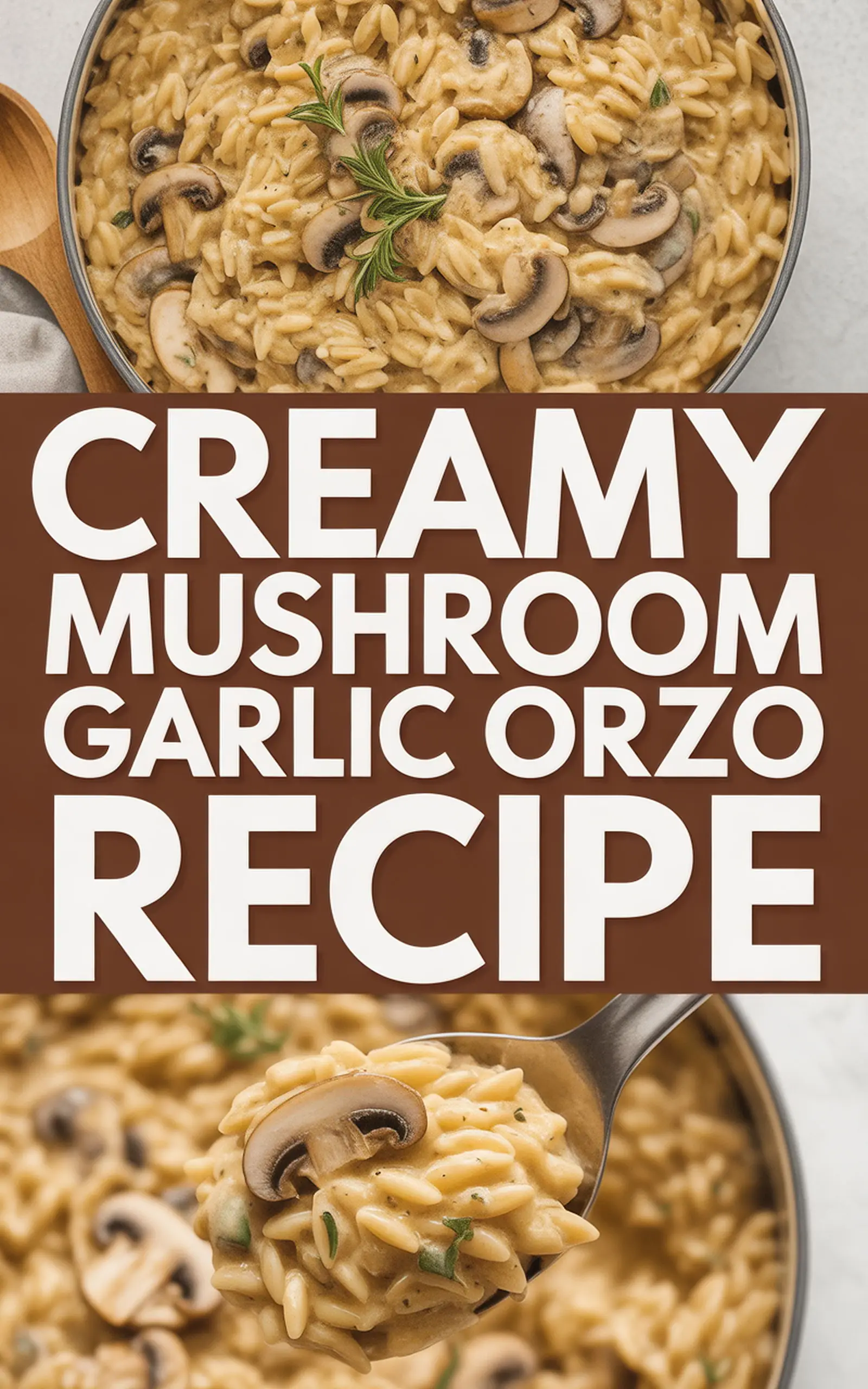 Creamy Mushroom Garlic Orzo Recipe - easy recipe with step by step instructions