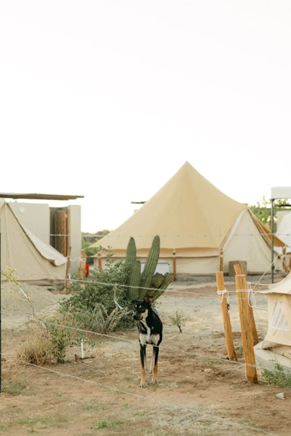Amangiri's minimalist suites by Canyon Point cliffs