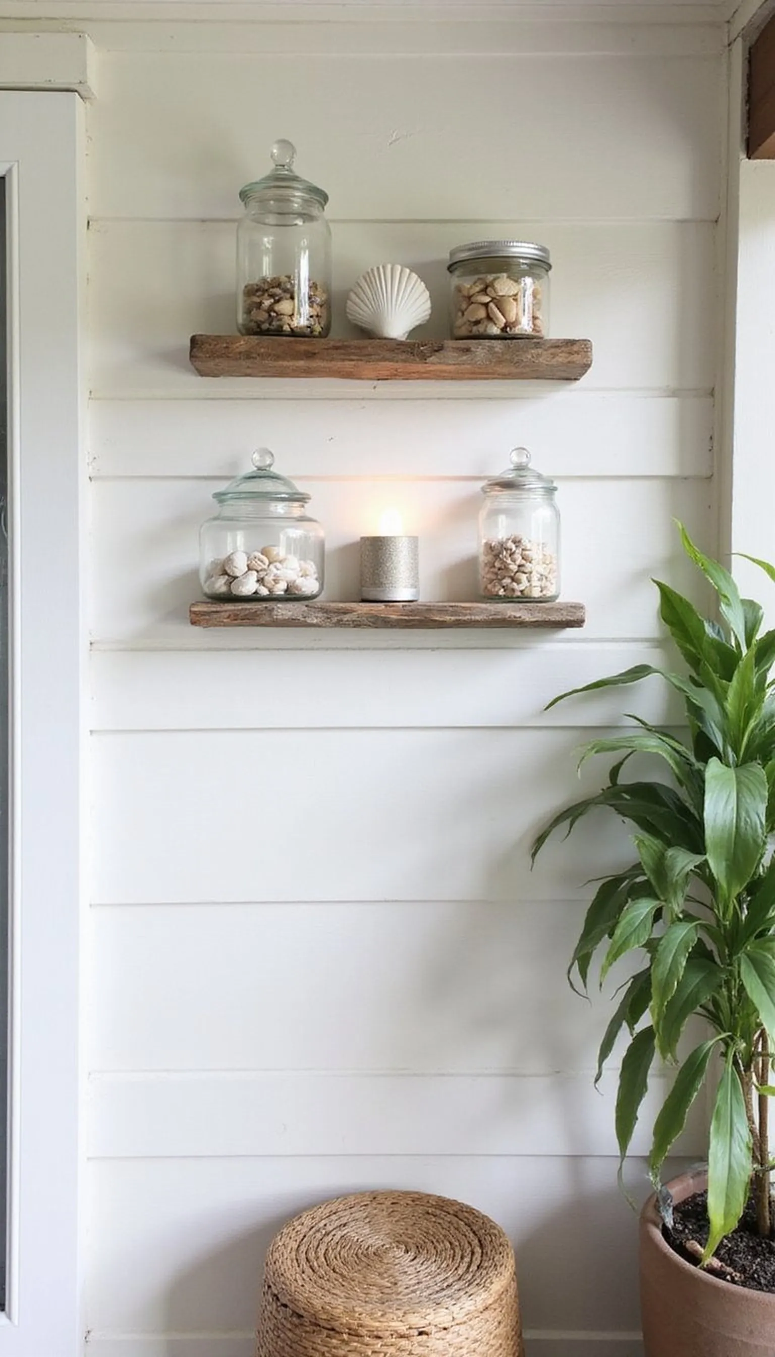 Coastal shell display on a driftwood shelf