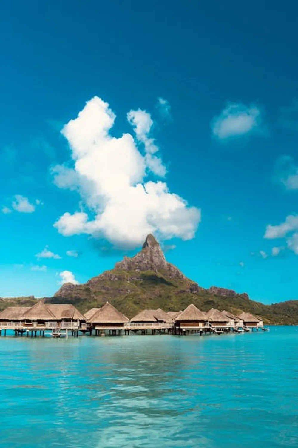Bora Bora Lagoonarium snorkeling with rays and fish