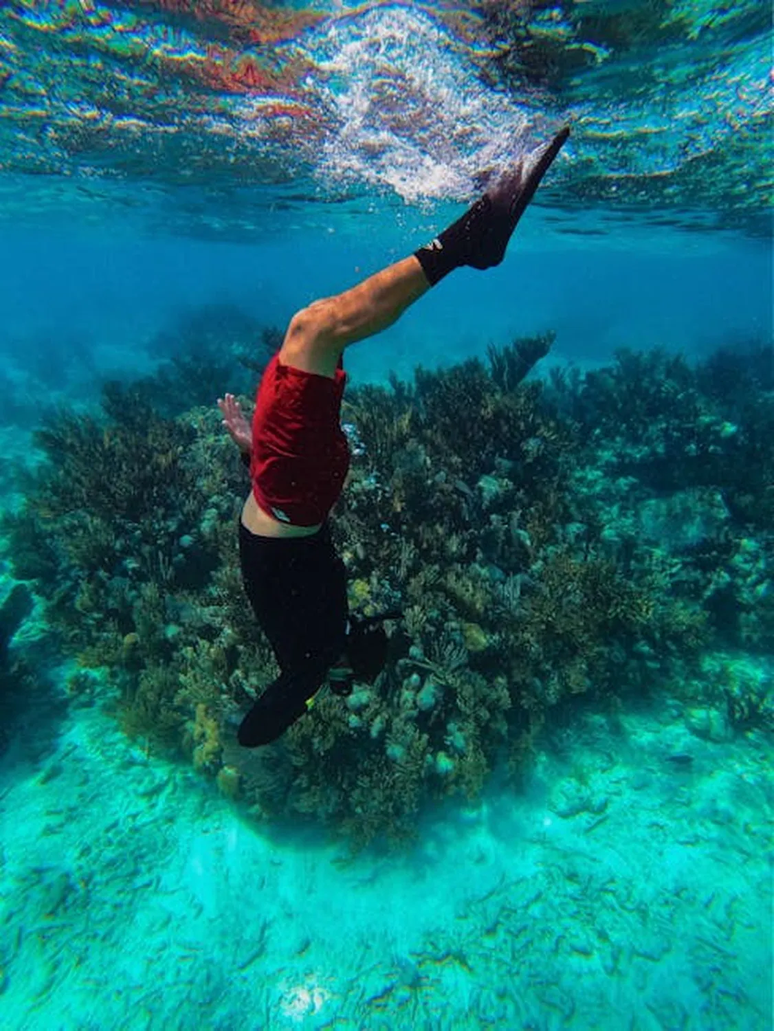 Coral Gardens snorkeling site: shallow reefs, clear water