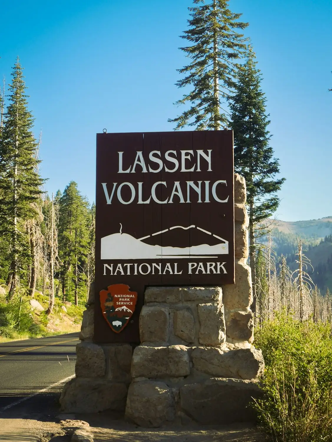 Lassen alpine blooms above volcanic terrain