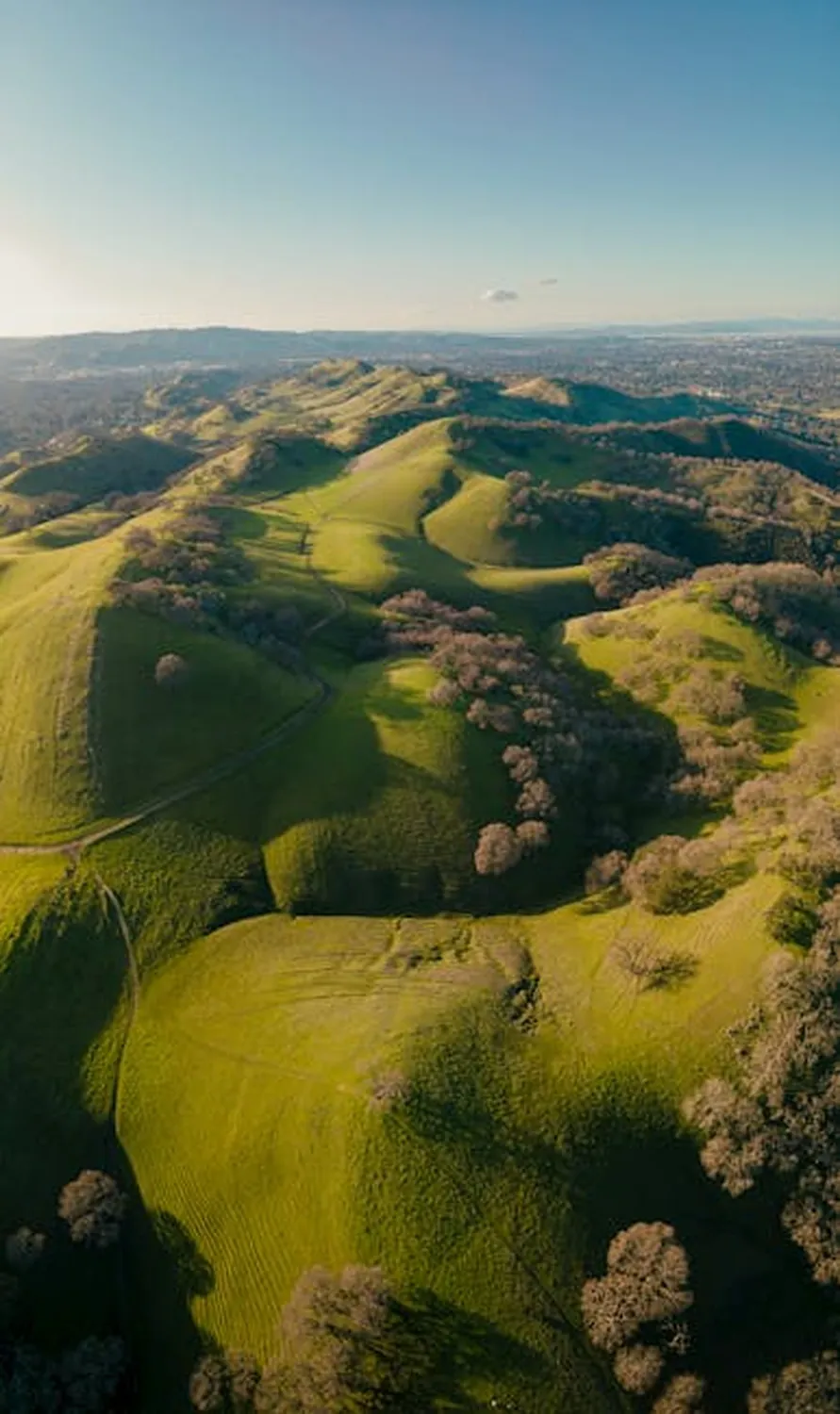 Mount Diablo slopes with golden spring fields