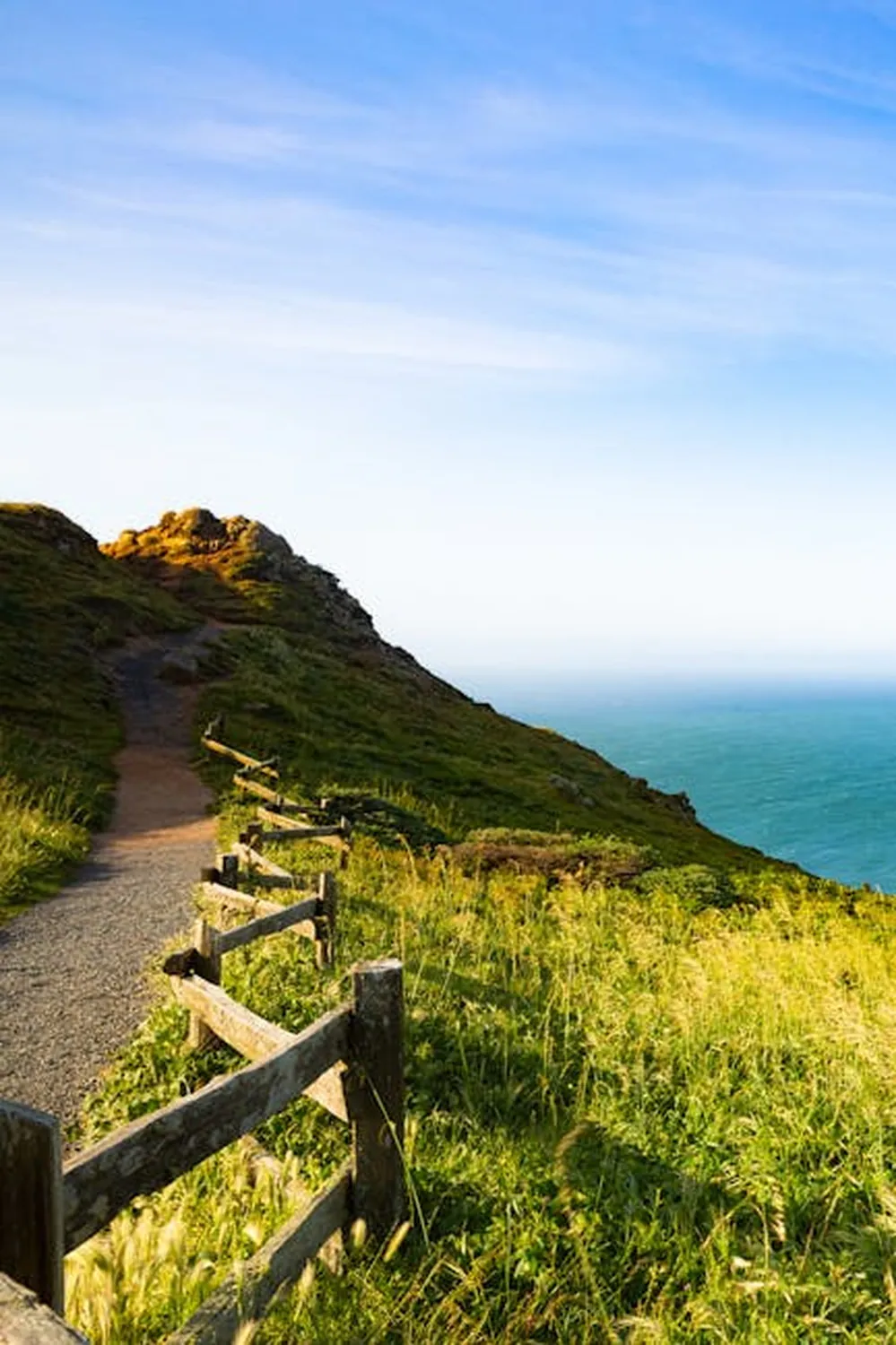Point Reyes coastal spring blooms to photograph