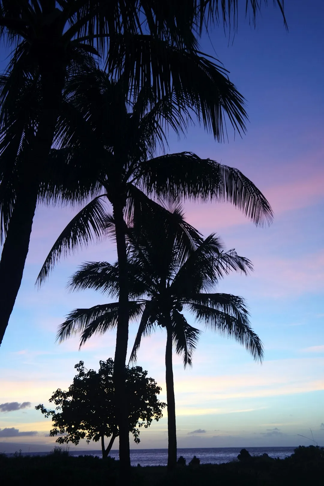 Drive Maui's Hana Highway for waterfalls and rainforest