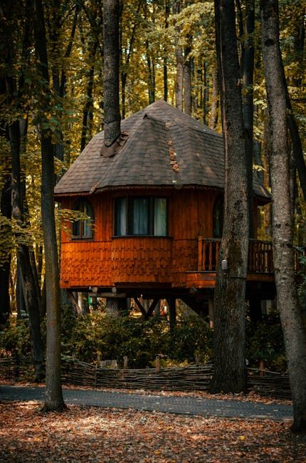 Silky Oaks Lodge rainforest treehouses — Daintree views