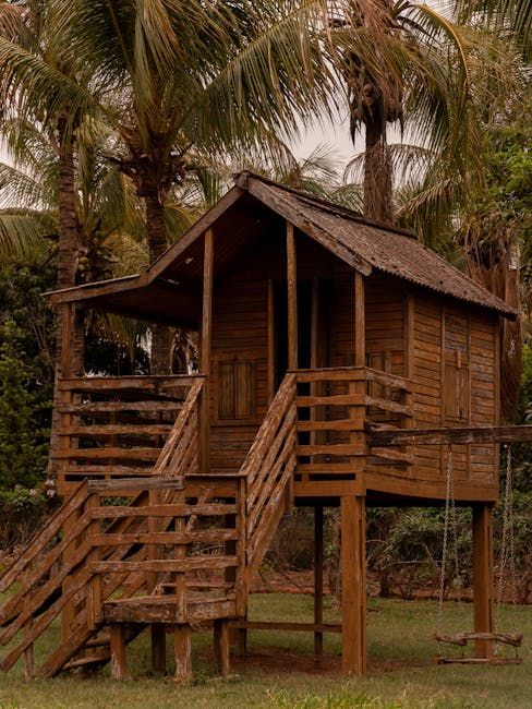 Treehouse Lodge, Tambopata Amazon — canopy wildlife nights