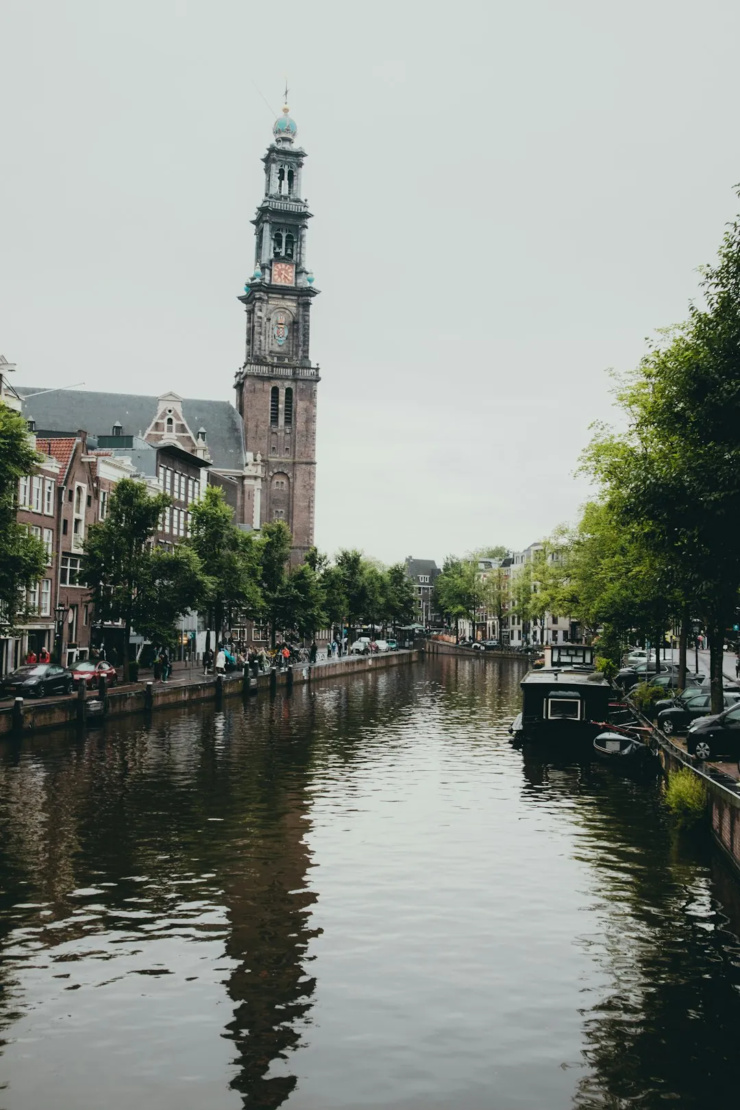 Tulip Museum Amsterdam: bulbs, history, culture