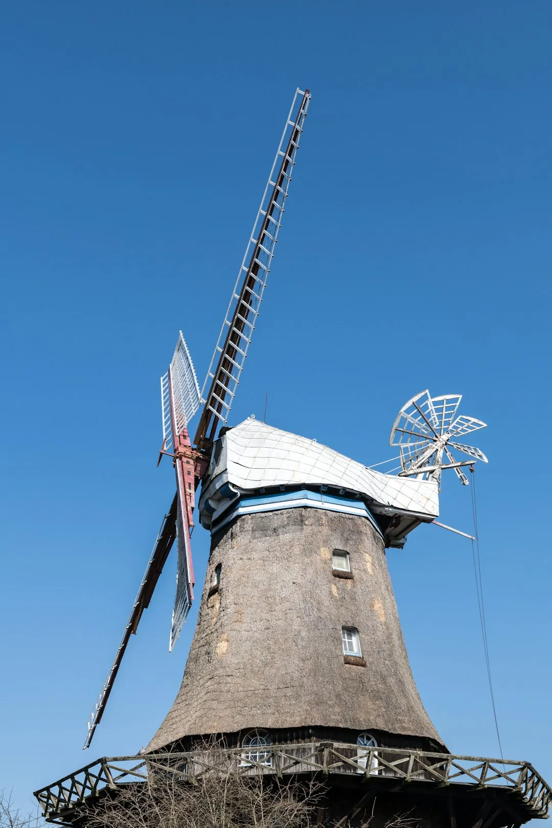 Windmill views over Keukenhof tulip fields
