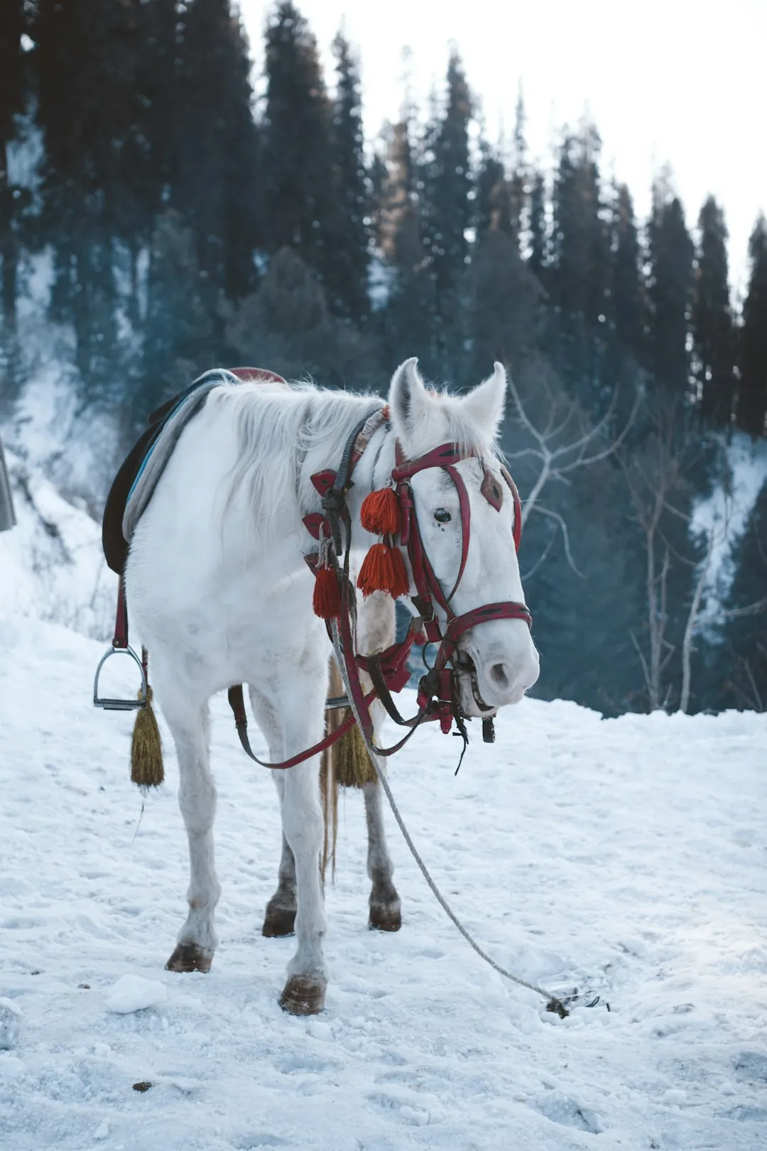 Gstaad chalet sleigh into snowbound Swiss villages