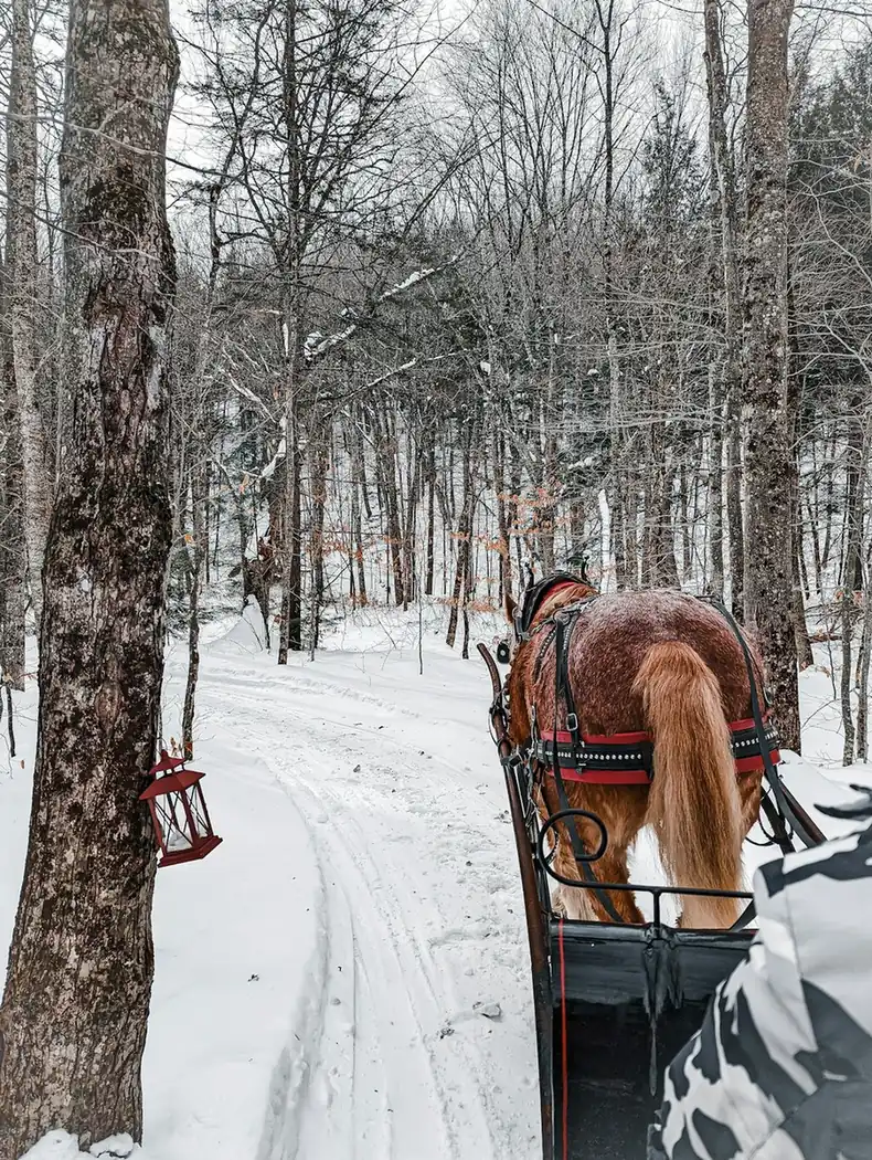 Kakslauttanen glass igloos paired with sleigh rides