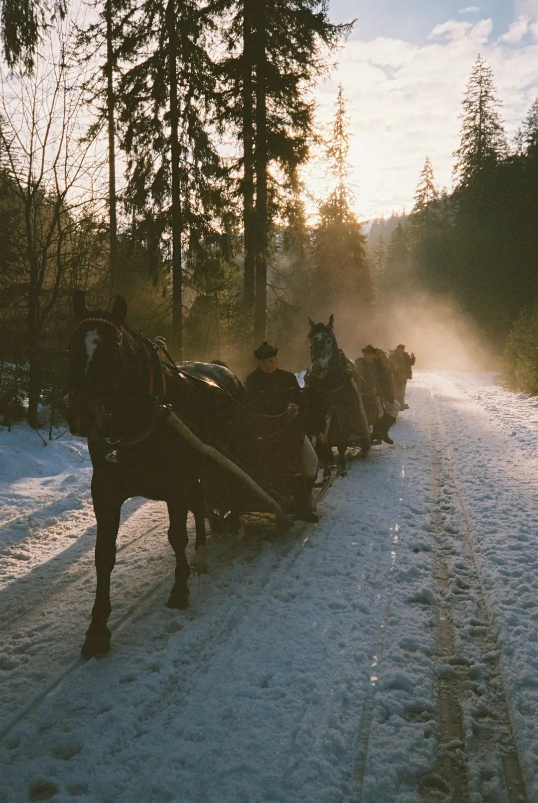 Levi Lapland husky sleigh with crisp skyline views