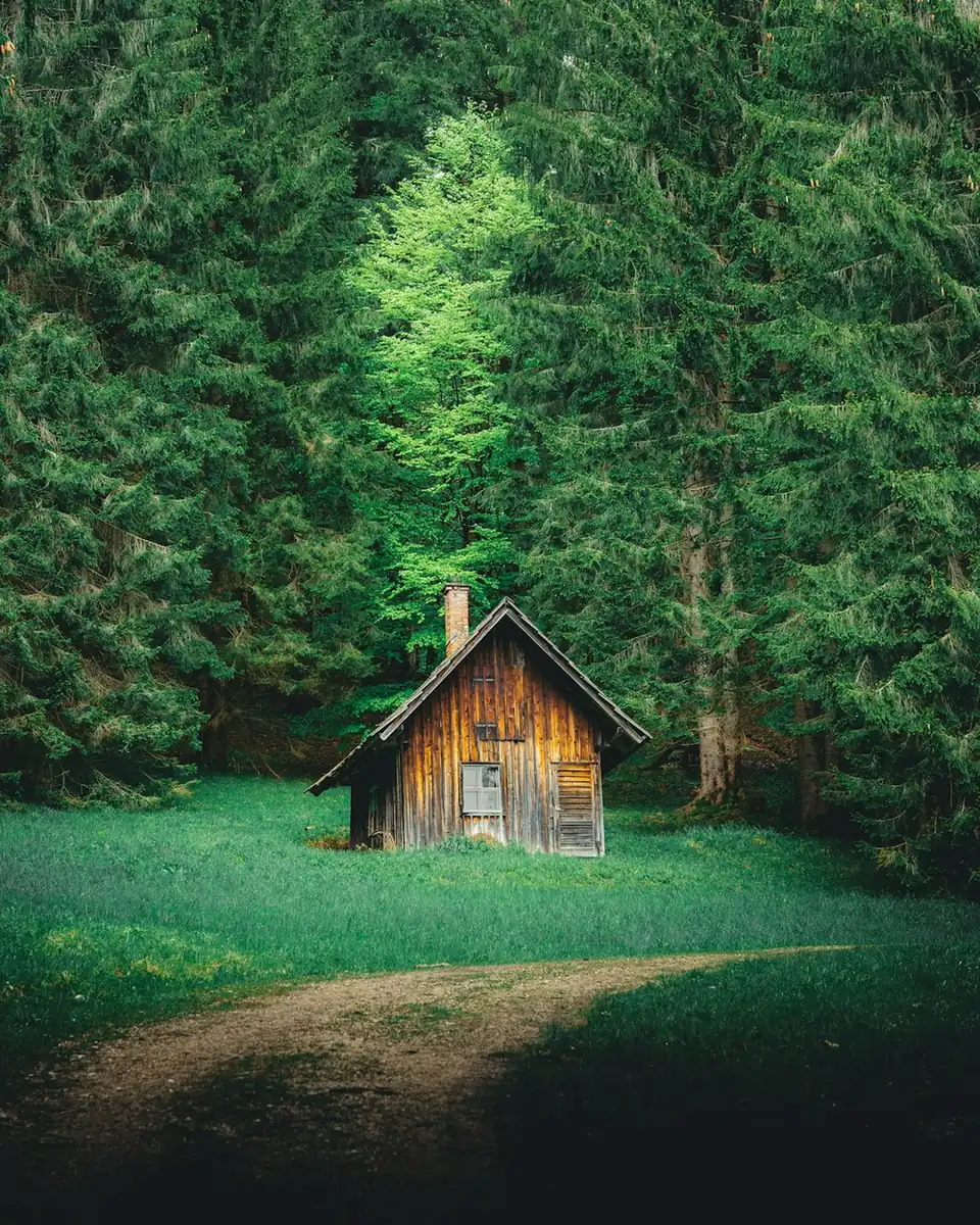 Exploring the snow-capped views from Wyoming’s Pine Lodge