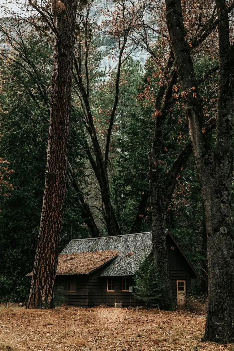 Michigan’s cabin with handcrafted cedar interiors