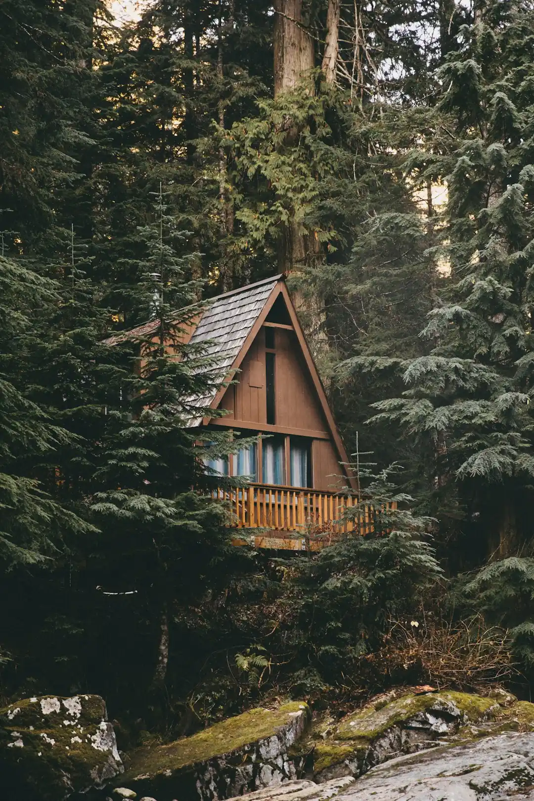 What makes the Alaskan Log Haven truly wild