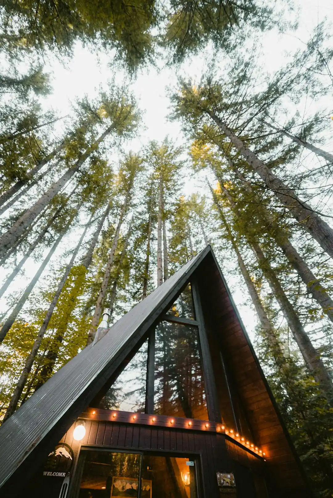 Why Colorado's Timberline Lodge feels like an alpine haven