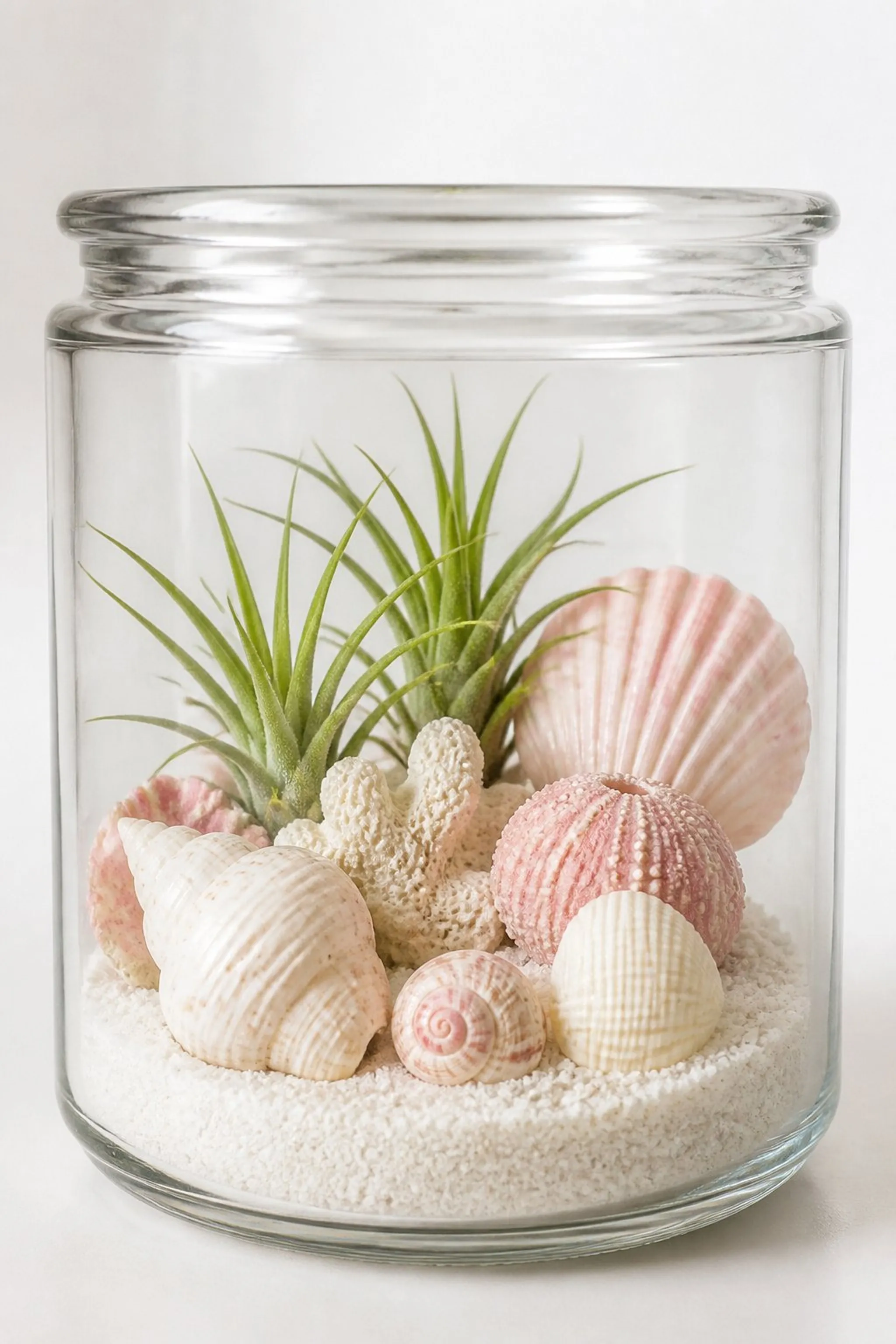 Beach-themed sand and shell terrarium in small jar