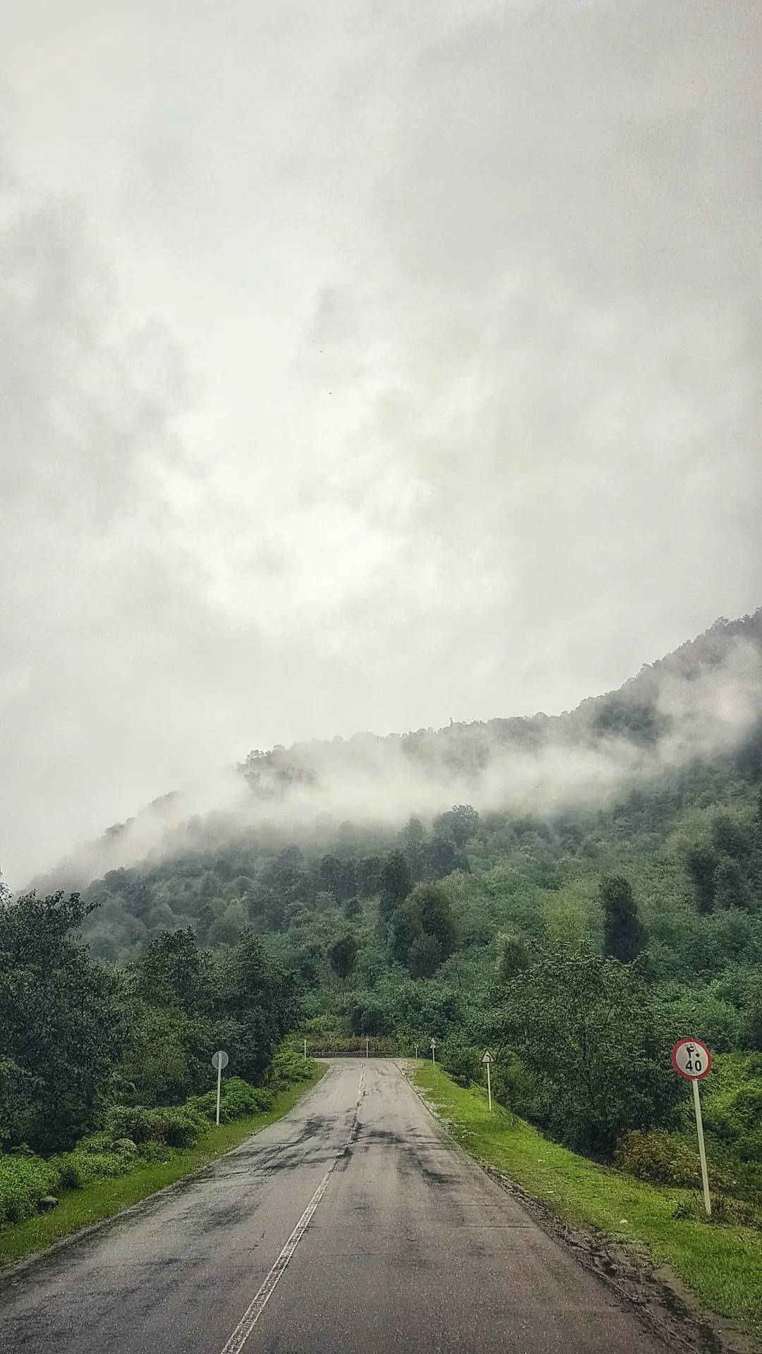 Japanese serenity at Kyoto’s bamboo forest