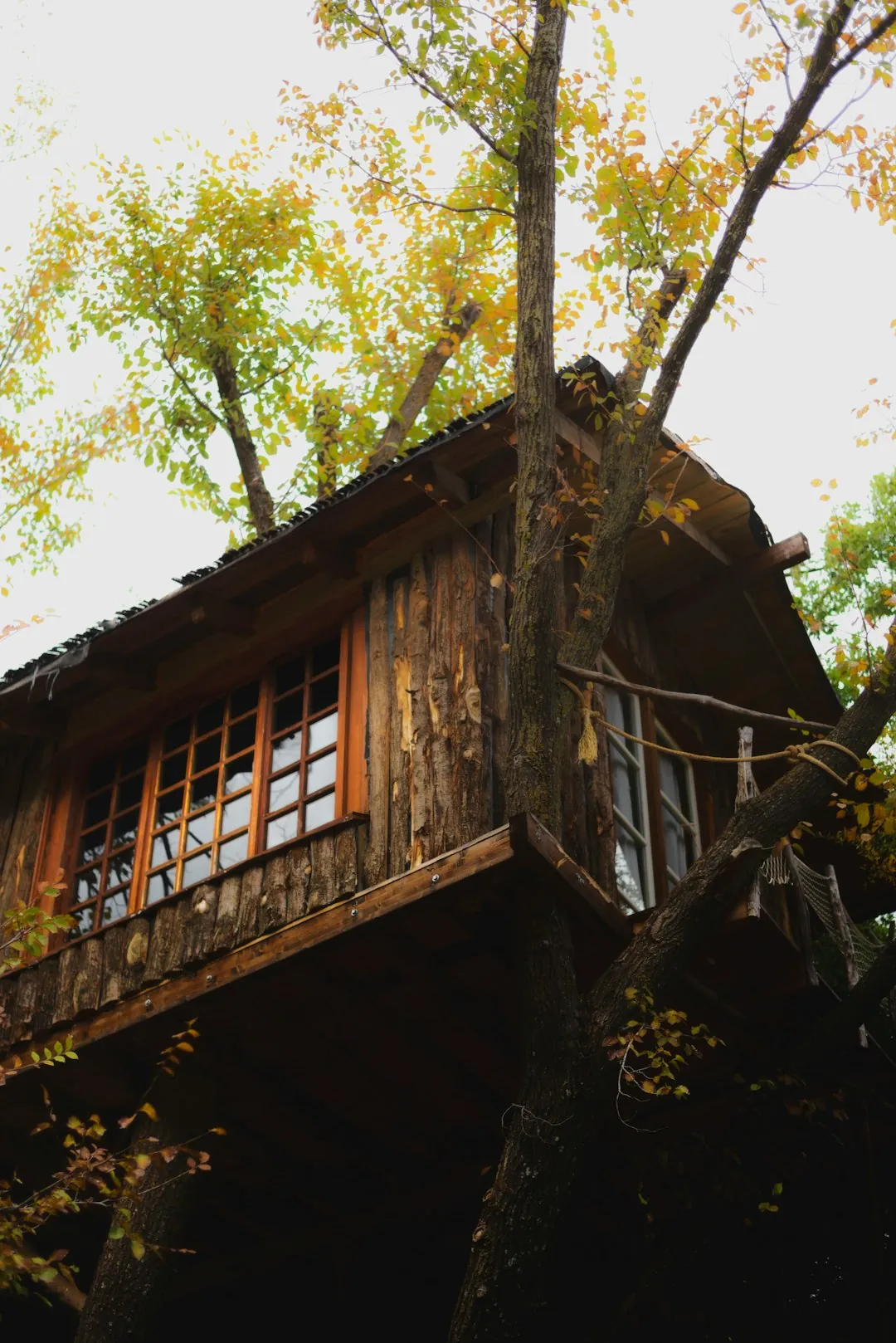 Canopy living at the WhitePod Treehouses in Switzerland