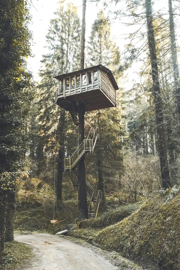 Check out the Cozy Nothofagus Treehouse in Chilean Patagonia