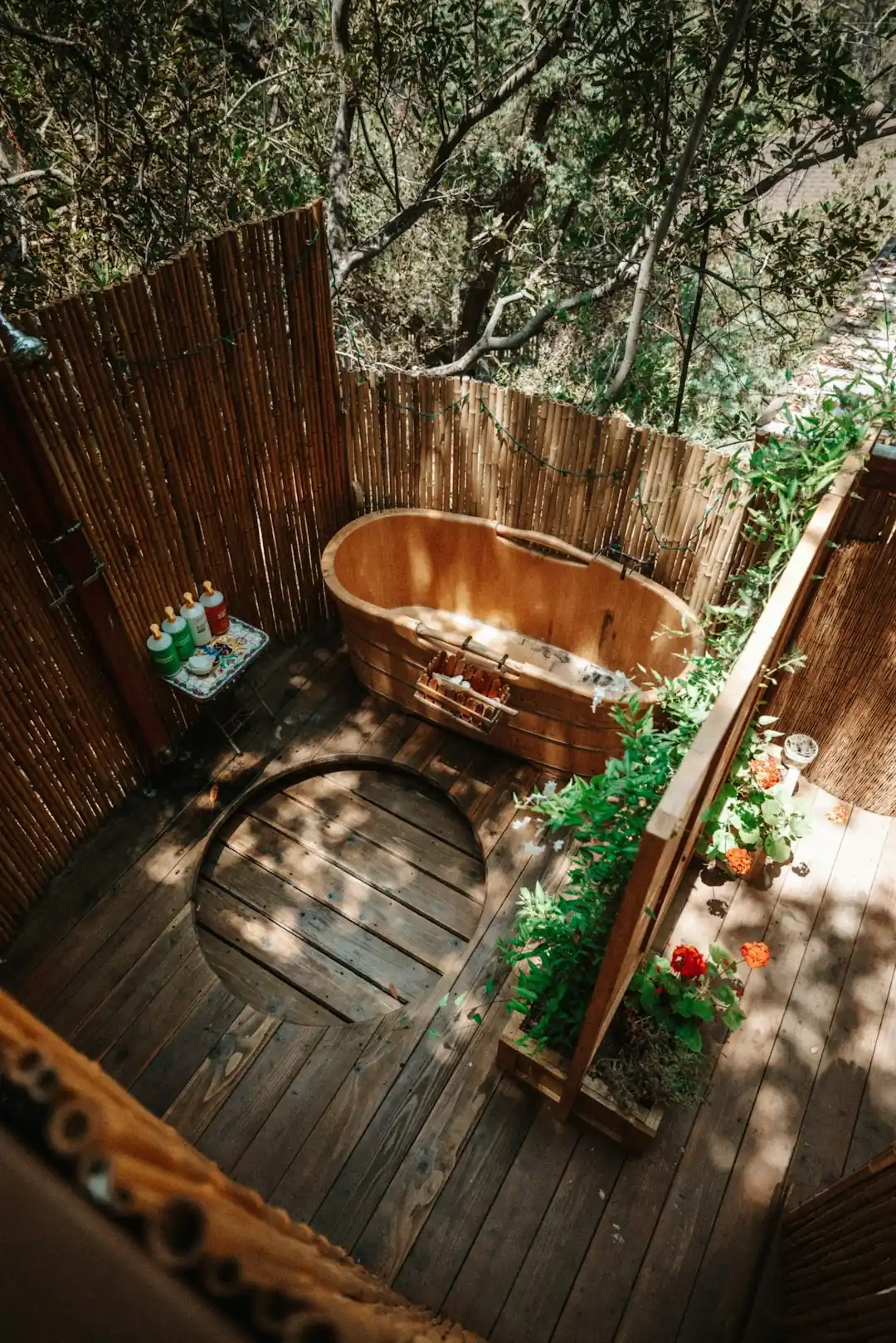 Exploring the rustic charm of Portugal’s Cork Oak Treehouse