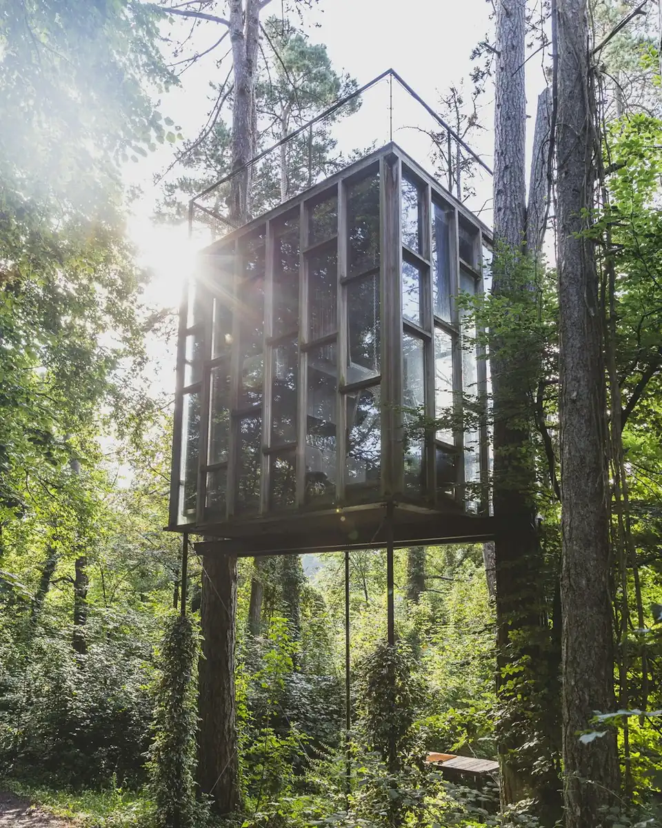 How the Skywood Treehouse in New Zealand blends craftsmanship