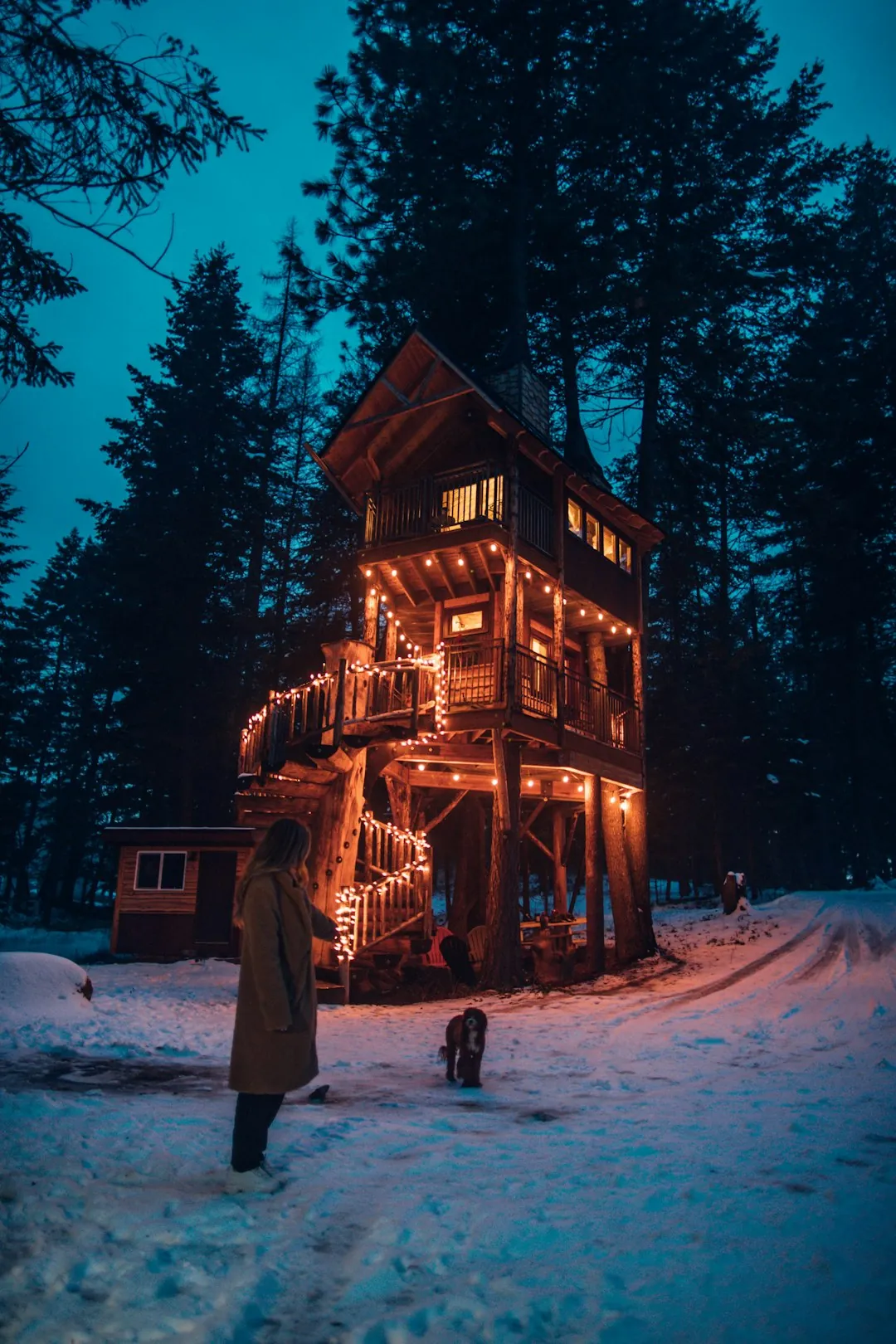 Overnight at the Blue Mountains' Nest Treehouse in Australia