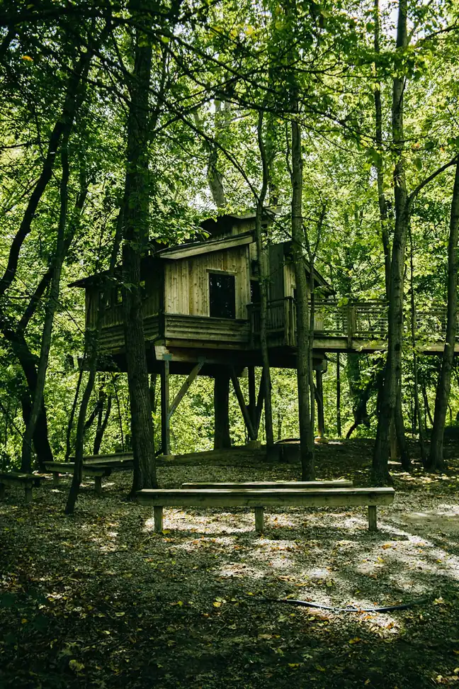 The organic allure of Lapa Rios Treehouse Bungalows in Costa Rica