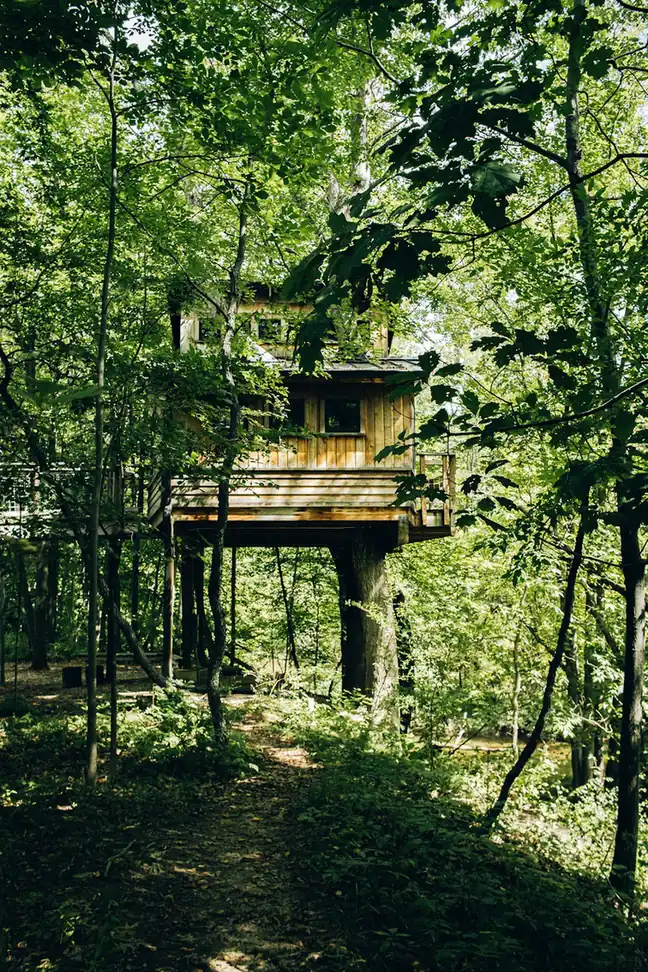 The Waldseilgarten Stelzenhaus in Germany’s Black Forest