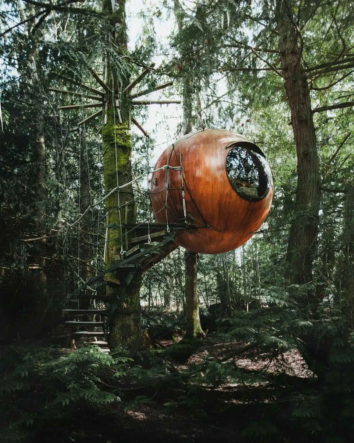 Why the Free Spirit Spheres in Vancouver Island are Magical