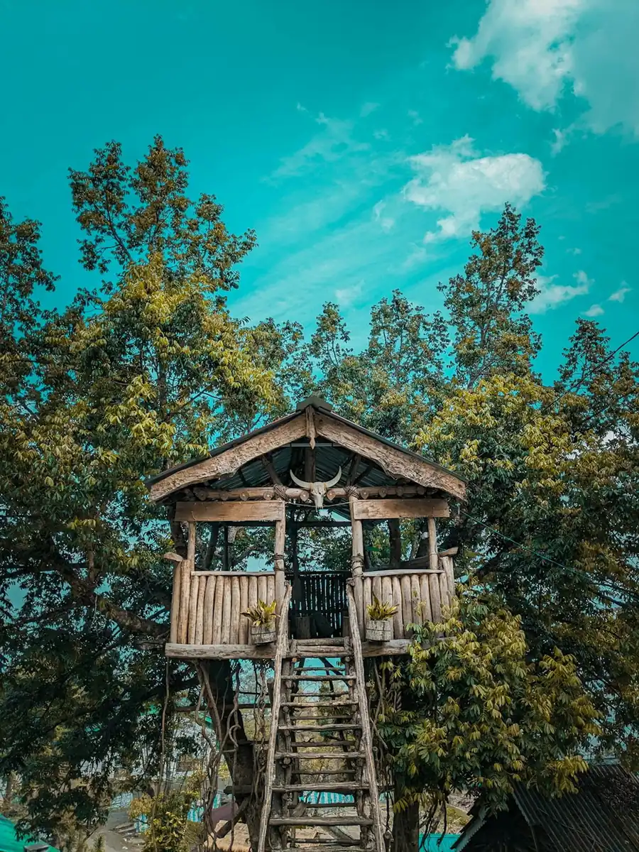 Why the La Cabane Verte in France Feels So Enchanting